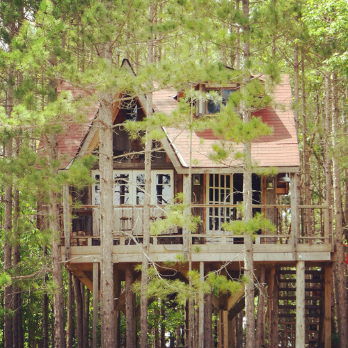 2013-07-08_tree house_0.jpg