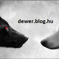Dewer blog