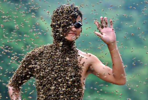 Amazing-Bee-Attracting-Competition-in-China-10.jpg