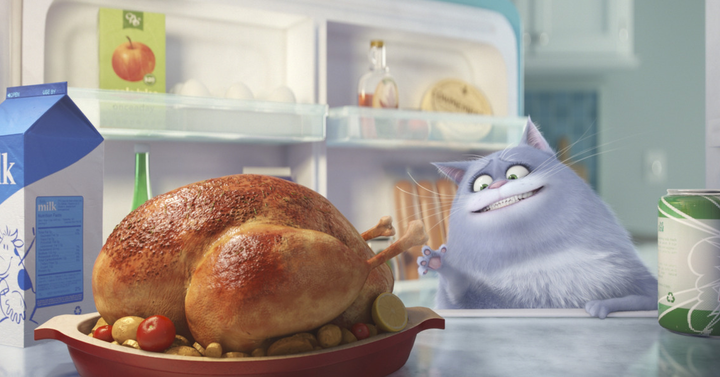 The Secret Life of Pets trailer