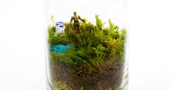 Tartsd terráriumban C-3PO-t, Harry Pottert és Gandalfot!