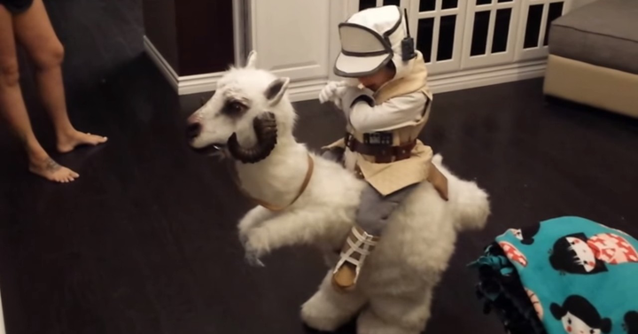 Imádnivaló Star Wars-os jelmezt kapott egy kisfiú