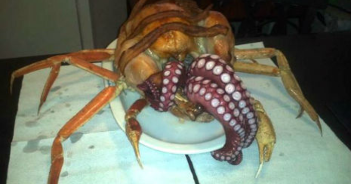 Hálaadás a nagy Cthulhu-nak