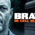 Büntető ököl (Brawl in Cell Block 99, 2017)