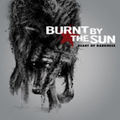 Burnt By The Sun - Heart of Darkness (2009)