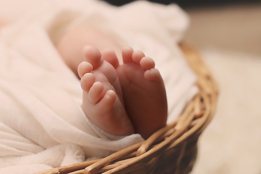 babalabnewborn-1399155_340.jpg