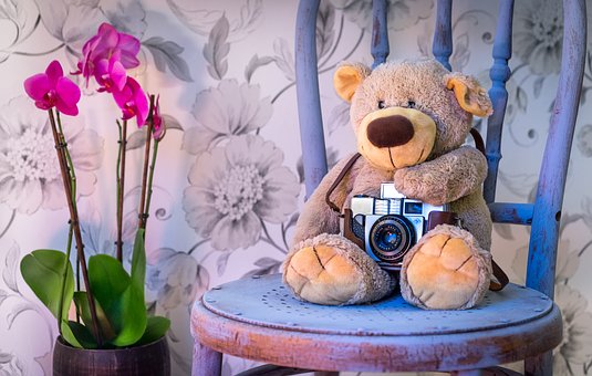 macko_orchideavalteddy-bear-1710641_340.jpg