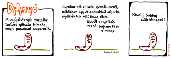 dilinyo2010-11-12.png