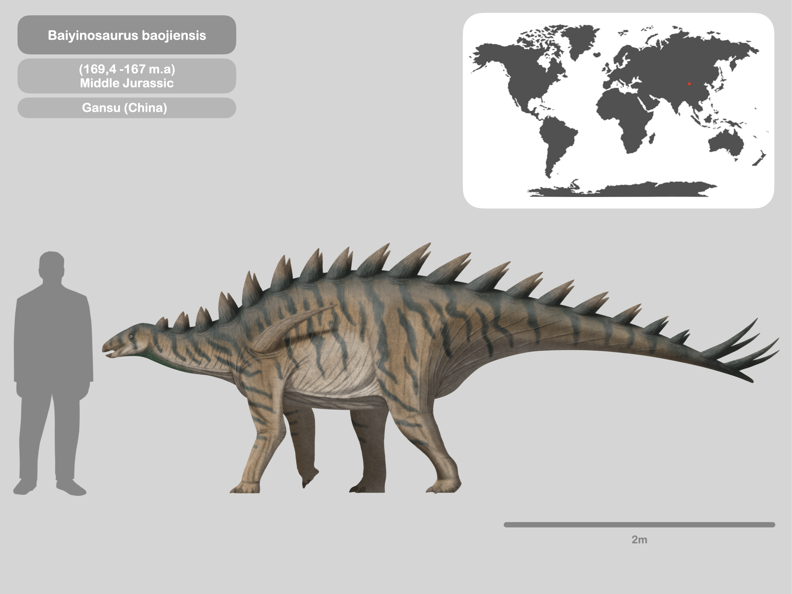 2stegosaurus_rokon_2.png