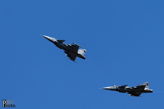 DIphoto: Gripen