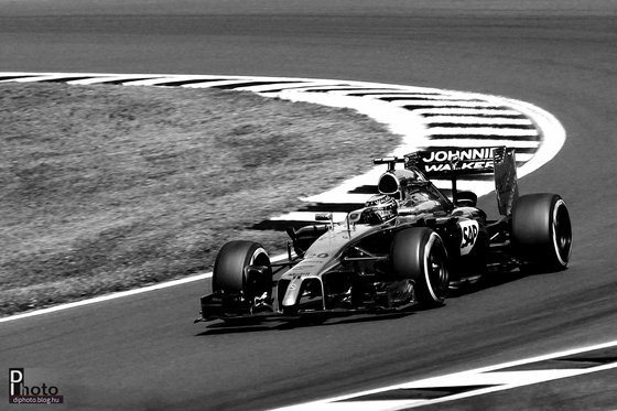 DIphoto: IMG 9050 1 bw logo - indafoto.hu