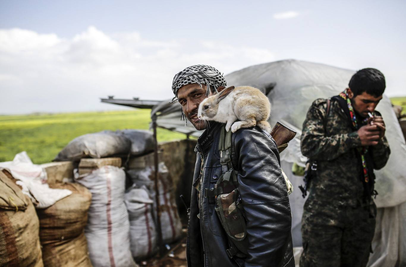 Kurd fegyveres pózol egy nyúllal a szíriai Kobane határában, ahonnan január végén űzték ki az Iszlám Állam erőit (f.: AFP)