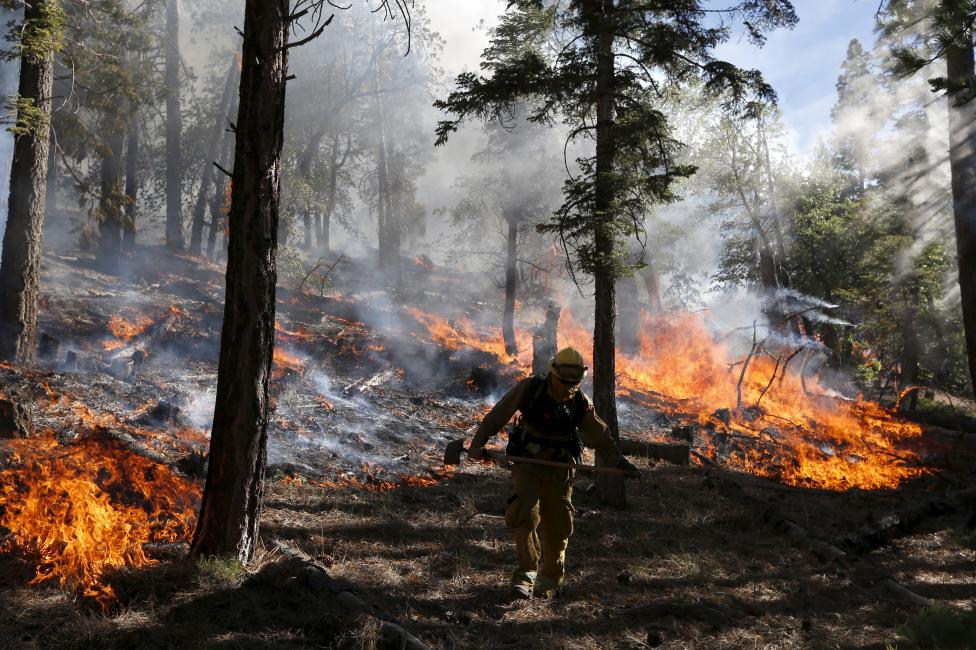 Egy tűzoltó felügyeli a tűz terjedését a kaliforniai San Bernardino Nemzeti Parkban. Az elmúlt héten több mint 1000 embernek kellett elhagynia otthonát a nyugati part három államában pusztító erdőtüzek miatt. (f.: Reuters)