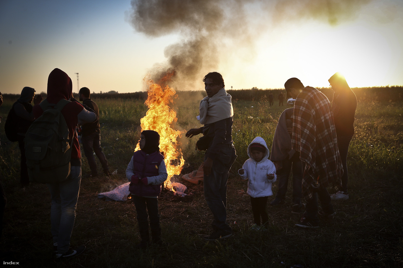 Migráns családok melegednek a röszkei menekülttáborhoz közeli földeken kialakított tábornál. (f.: Index)