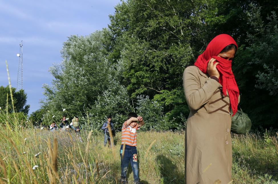 Afgán család sétál a mezőn Ásotthalom mellett, miután átkeltek a szerb-magyar határon. (f.: Reuters)