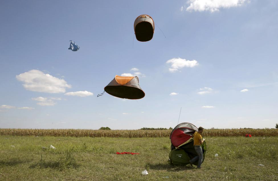 Bevándorlók által otthagyott sátorokat repít a levegőbe a szél Röszkénél. (f.: Reuters)