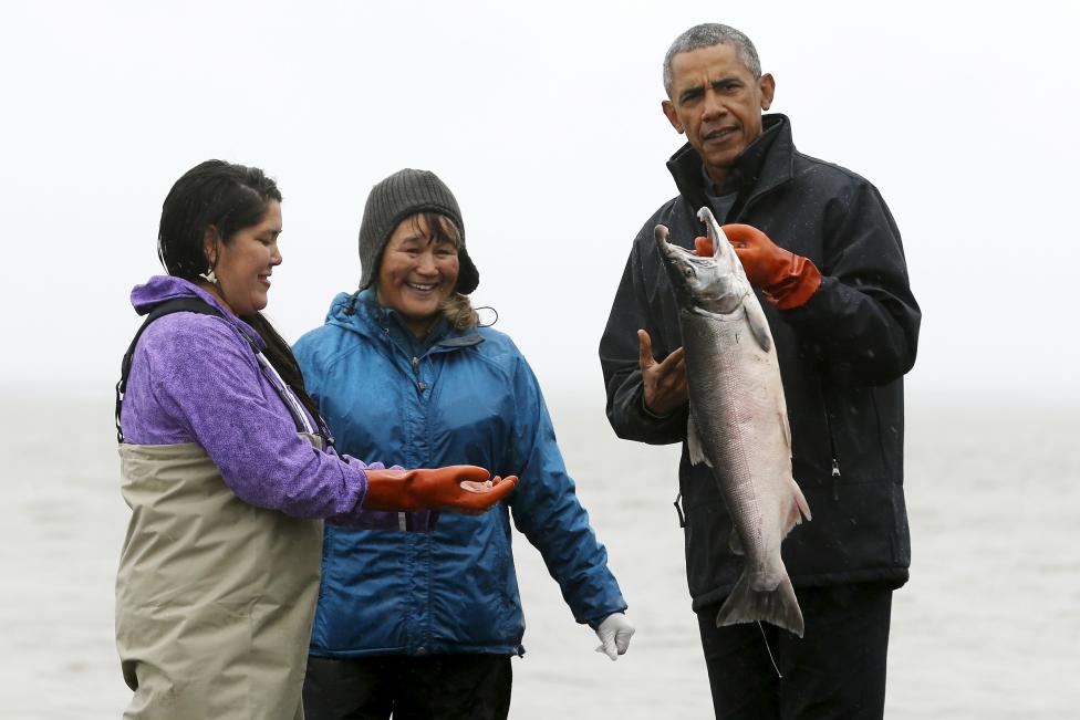 Barack Obama amerikai elnök tart egy lazacot a kezében, miután meglátogatta az alaszkai halászváros, Dillingham lakóit. Obama itteni látogatásának fő indoka a környezetszennyezés kapcsán megemelkedett tengerszint miatt negatívan érintett települések megismerése. (f.: Reuters)