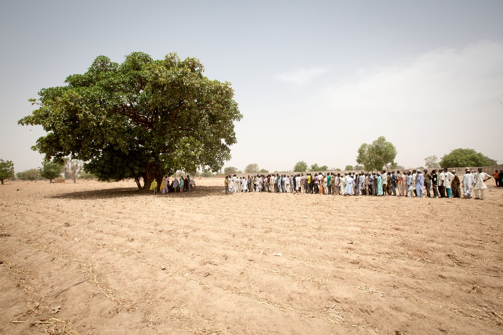 Nigériai állampolgárok állnak sorban egy lombos fa alá kihelyezett szavazóurna előtt, hogy leadhassák voksukat az elnökválasztáson. (f.: AFP)