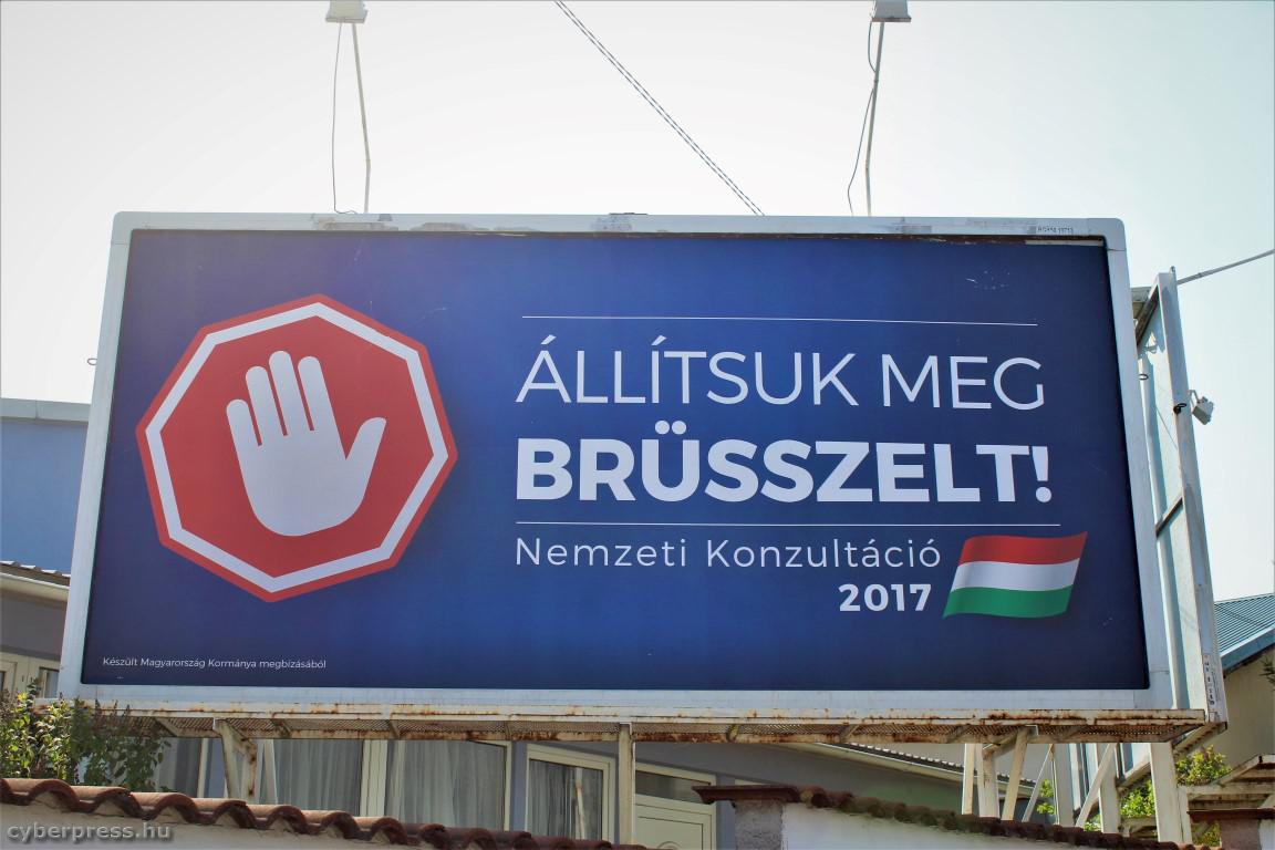 brusszel-medium.jpg