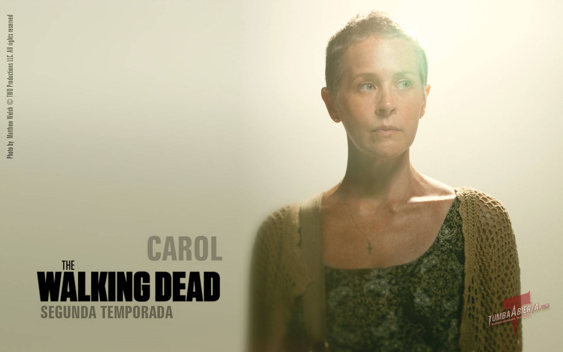 167646-the-walking-dead-carol.jpg