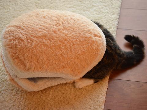 cat-burger-bed-maru-2.jpg