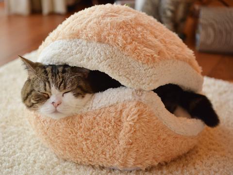 cat-burger-bed-maru-6.jpg