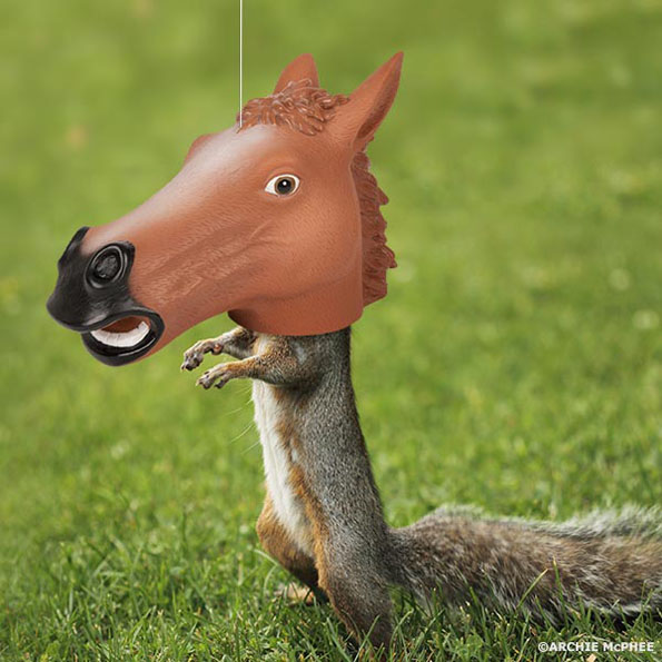 horse-head-squirrel-feeder-1.jpg