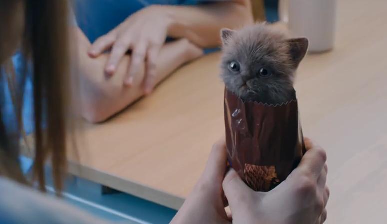 mcvities_ad.JPG