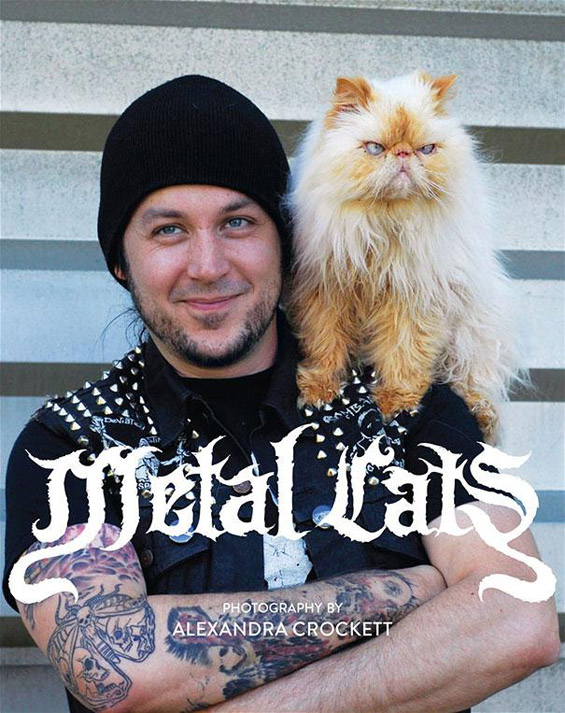 metal-cats-alexandra-crockett-11.jpg