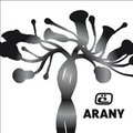 Aranyos 'lemezkritika'