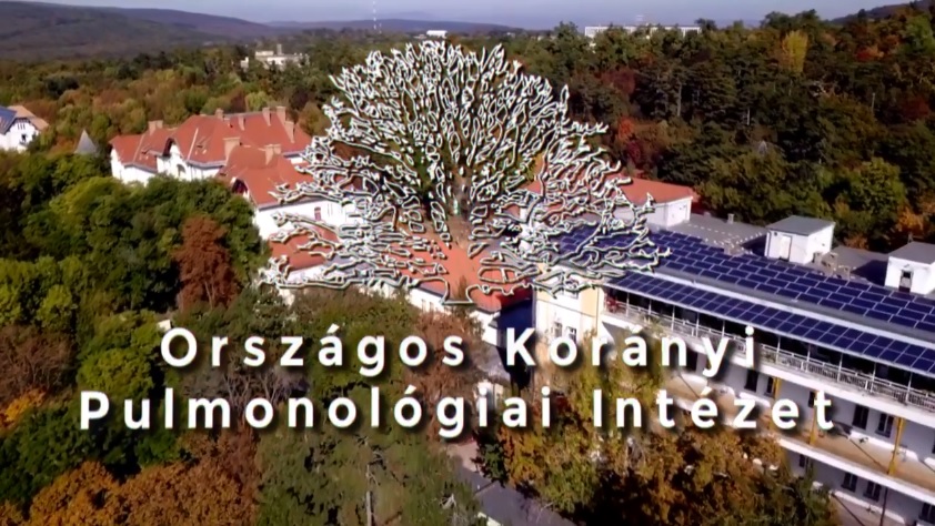 orszagos_koranyi_pulmonologiai_intezet.jpg