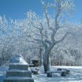 Igazi tél Dobogókőn