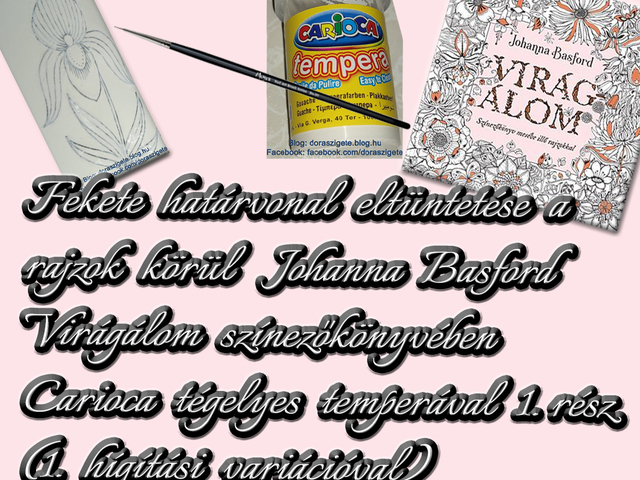 Fekete határvonal eltüntetése a rajzok körül Johanna Basford Virágálom színezőkönyvében Carioca tégelyes tempera festékkel (1. hígítási variációval) 2. rész – Videóval