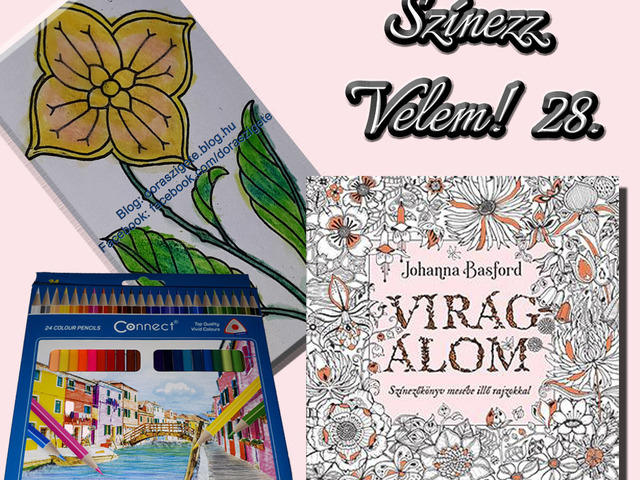 Színezz Velem! 28.- Johanna Basford Virágálom színezőkönyvéből - Videóval
