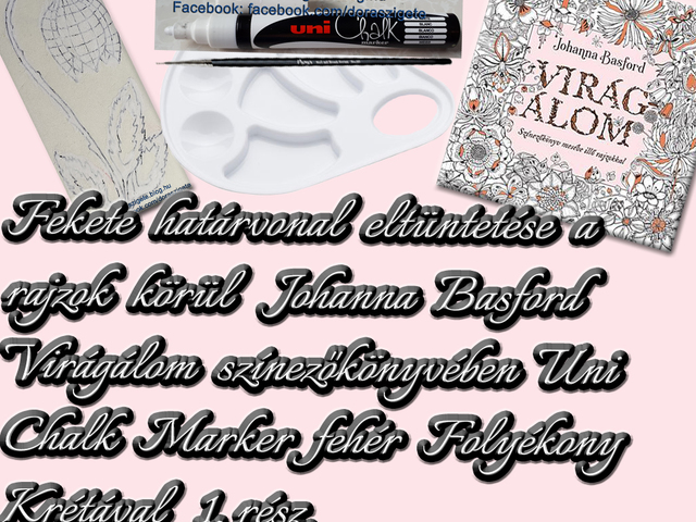 Fekete határvonal eltüntetése a rajzok körül Johanna Basford Virágálom színezőkönyvében Uni Chalk Marker fehér Folyékony krétával 1. rész – Videóval