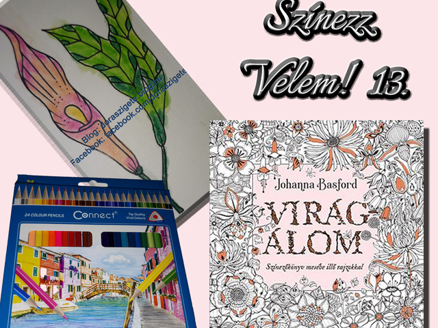 Színezz Velem! 13.- Johanna Basford Virágálom színezőkönyvéből - Videóval