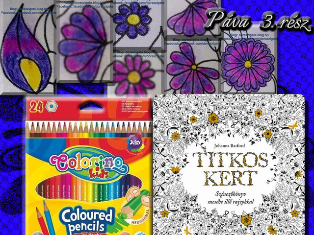 Johanna Basford - Titkos Kert Színezőkönyv – Páva – 3. rész