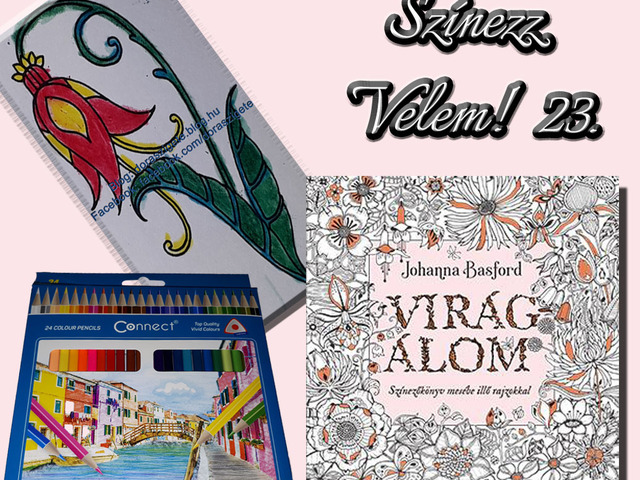 Színezz Velem! 23.- Johanna Basford Virágálom színezőkönyvéből - Videóval