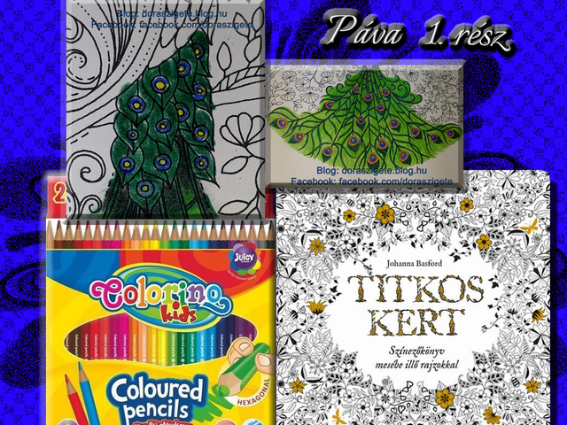 Johanna Basford - Titkos Kert Színezőkönyv – Páva – 1. rész