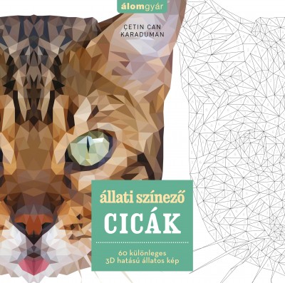 3d_allati_szinezo_cicak.jpg