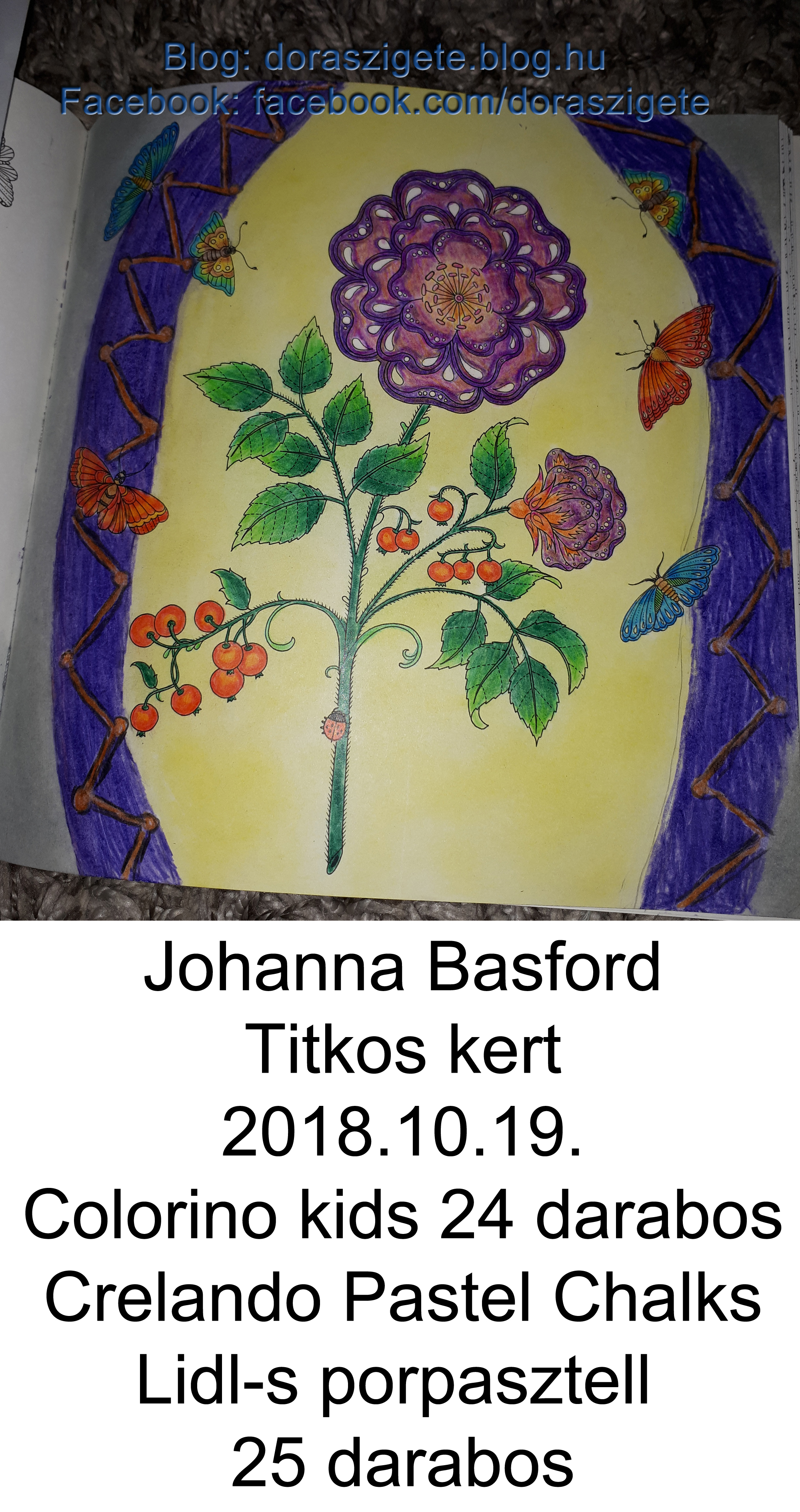 johanna_basford_titkos_kert_01.jpg