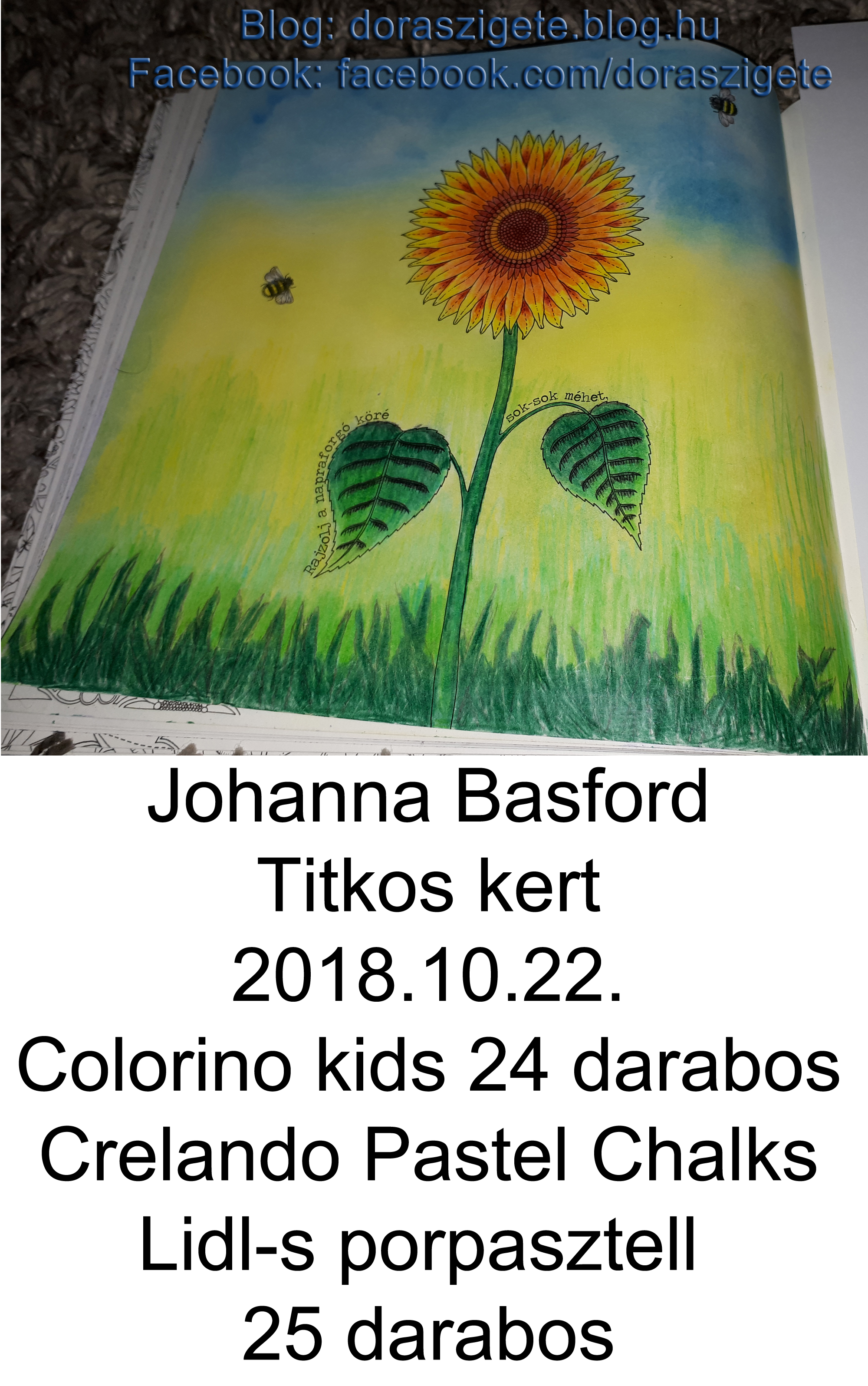 johanna_basford_titkos_kert_02.jpg