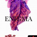 Helena Silence:Enigma