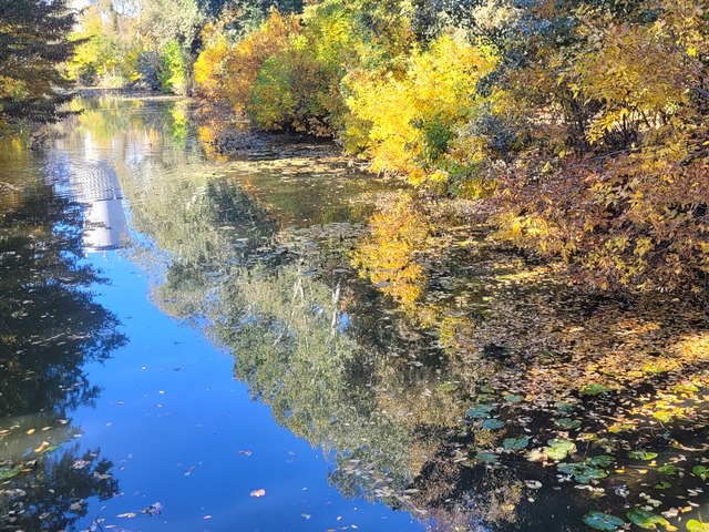 Miért pont így történt?