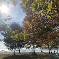 Balaton 2024 ősz