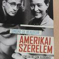 Amerikai ​szerelem