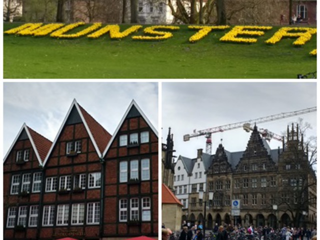 Münster és az iskola
