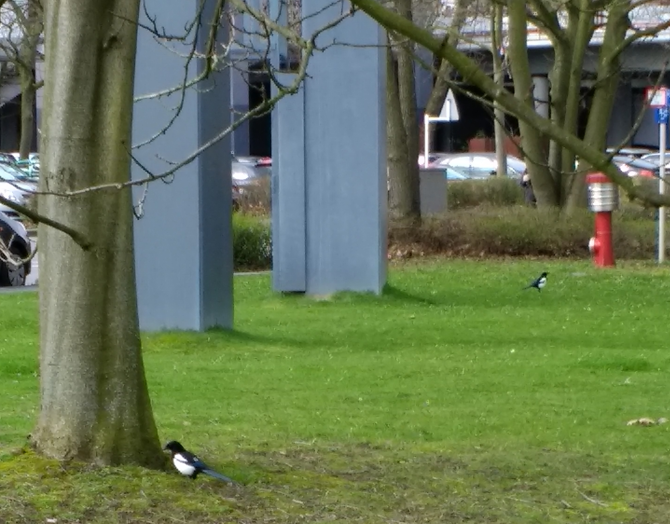 telefon_331.jpg
