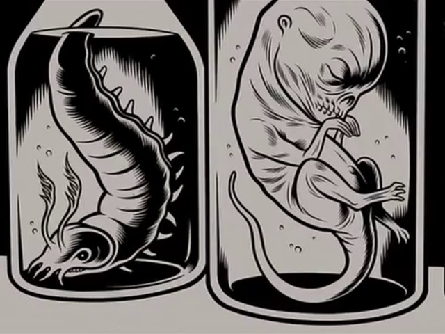 És te mitől félsz a sötétben? Charles Burns fóbiái animáción és képregényben