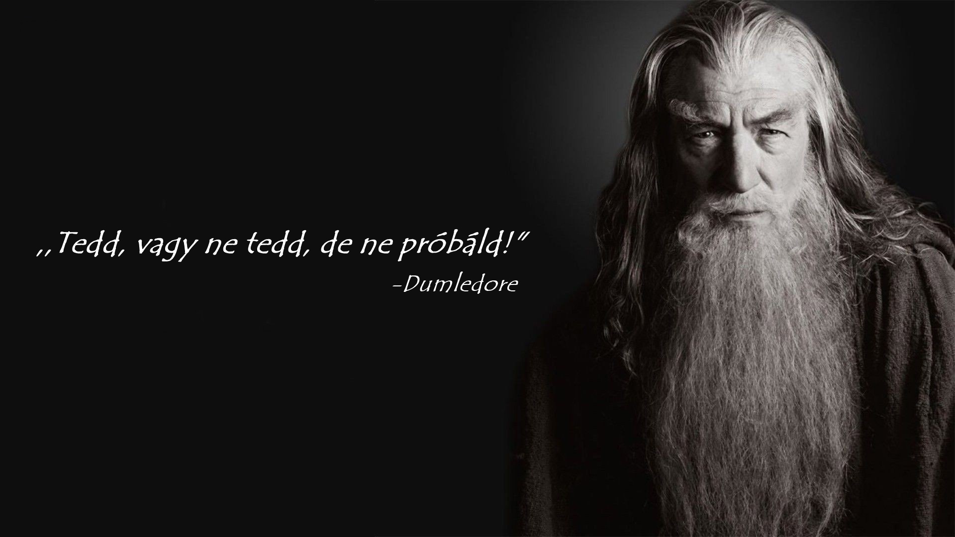 harry-potter-albus-dumbledore-michael-gambon.jpg
